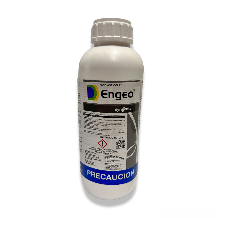 Engeo