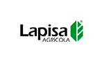 Lapisa